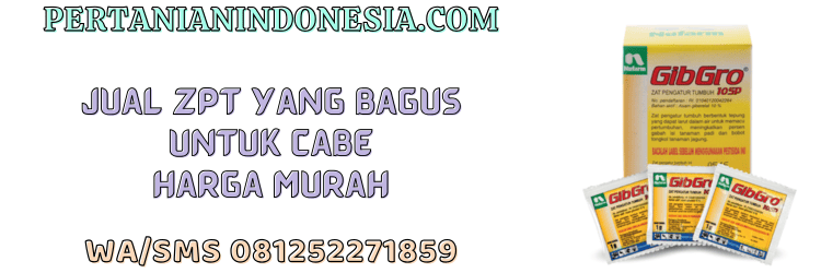 jual,murah,terjangkau,toko pertanian terdekat,pertanian indonesia